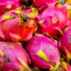 Exotische Früchte red and green fruit in close up photography